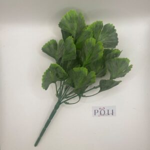 Ginko biloba ág