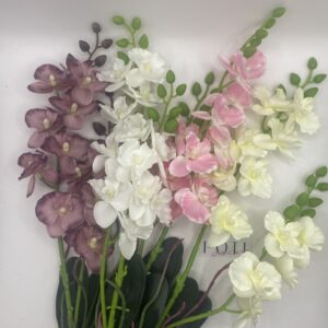 Orchidea 2 ágú